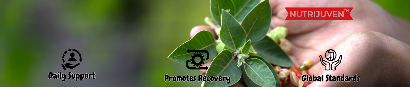 Nutrijuven Products